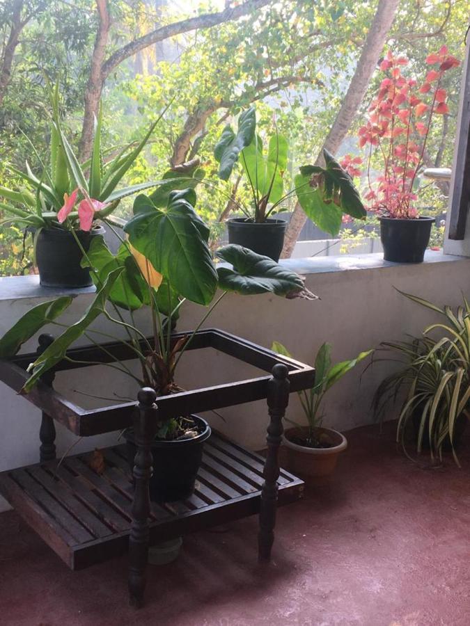 Homestay Marari Sibiya Beach